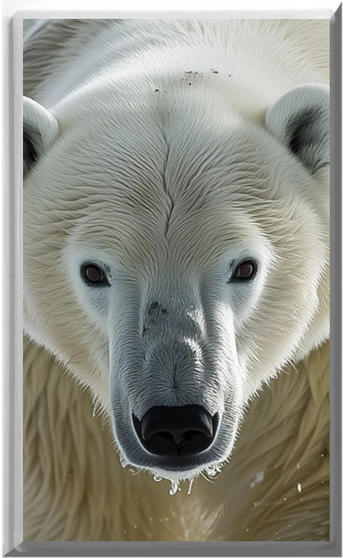 Polar Bear Design on a Glow Covers Home Decor Night Light Wall Plate - Delight in the Light and See in the Dark