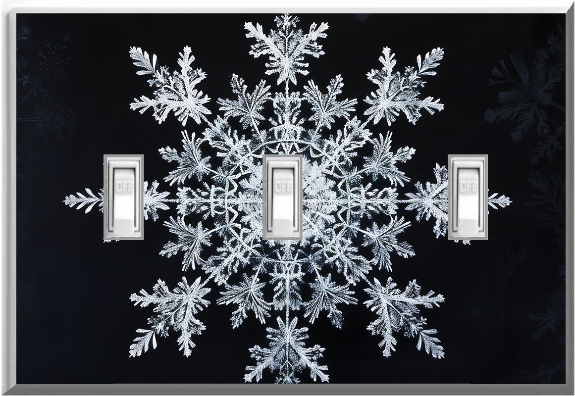 Snowflake - Glow Covers Home Decor Night Light Wall Plate - Delight in the Light and See in the Dark