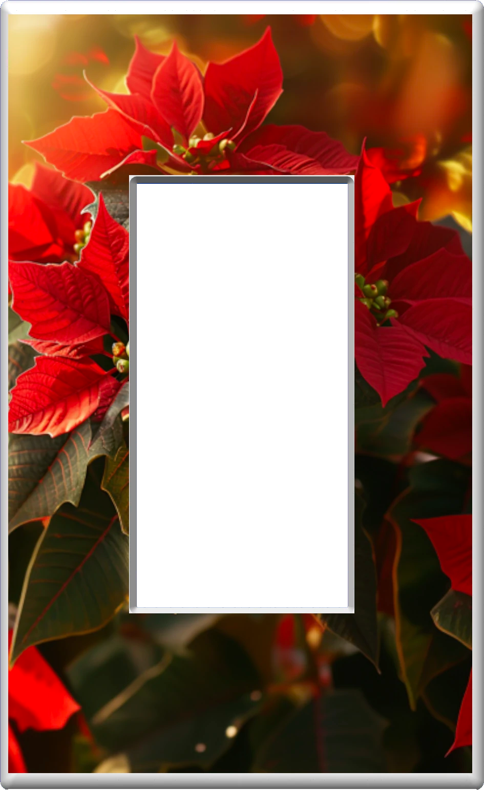 Poinsettias de Noël - Plaque murale pour veilleuse de décoration d'intérieur Glow Covers - Profitez de la lumière et voyez dans le noir