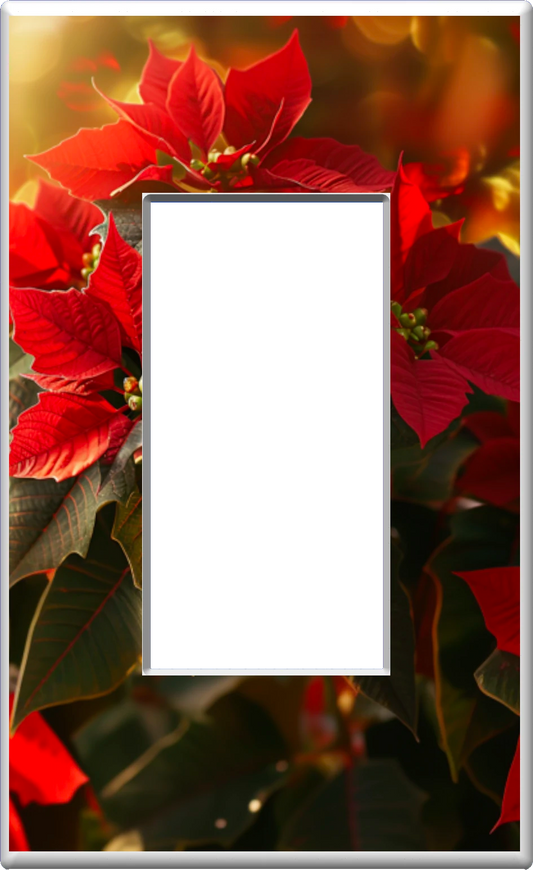 Poinsettias de Noël - Plaque murale pour veilleuse de décoration d'intérieur Glow Covers - Profitez de la lumière et voyez dans le noir