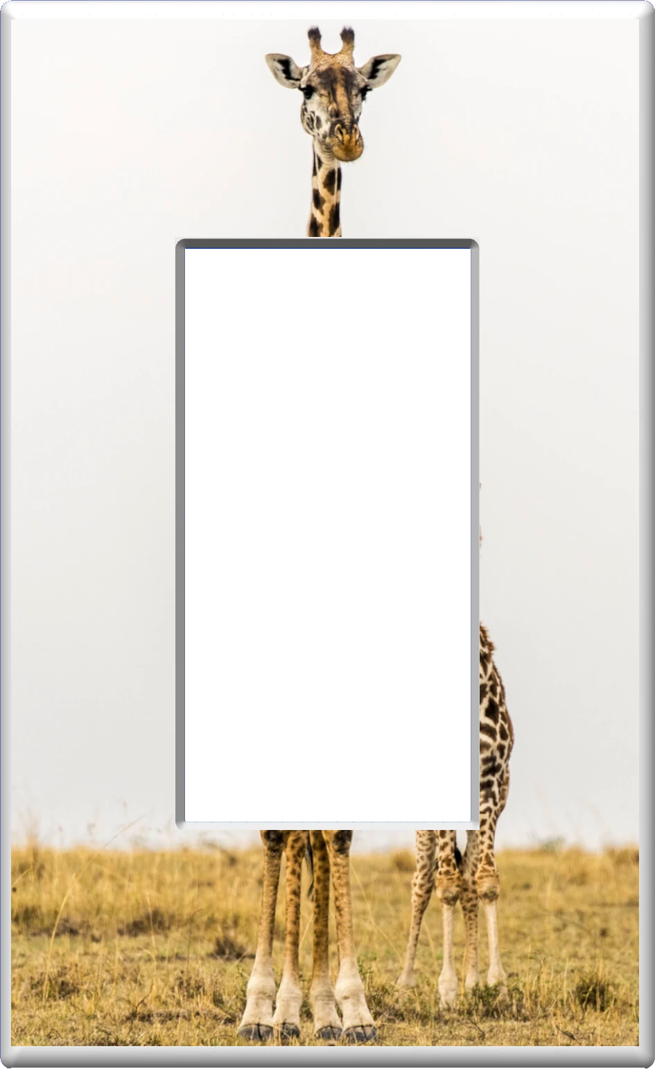 Giraffe - Glow Covers Home Decor Night Light Wall Plate - Delight in the Light and See in the Dark