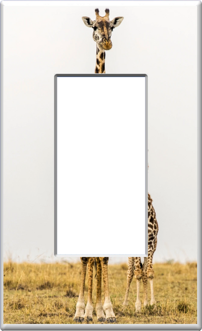 Giraffe - Glow Covers Home Decor Night Light Wall Plate - Delight in the Light and See in the Dark