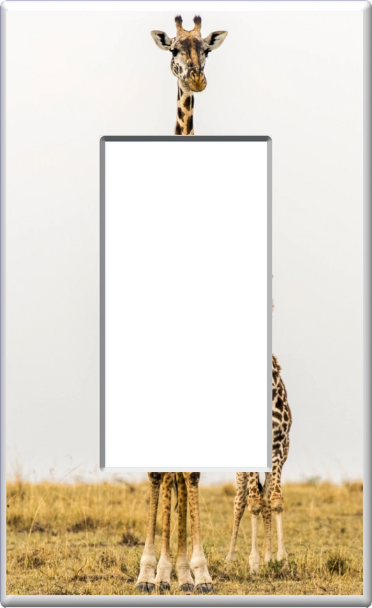 Giraffe - Glow Covers Home Decor Night Light Wall Plate - Delight in the Light and See in the Dark