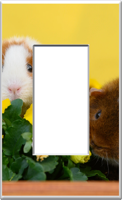 Guinea Pigs - Glow Covers Home Decor Night Light Wall Plate - Delight in the Light and See in the Dark